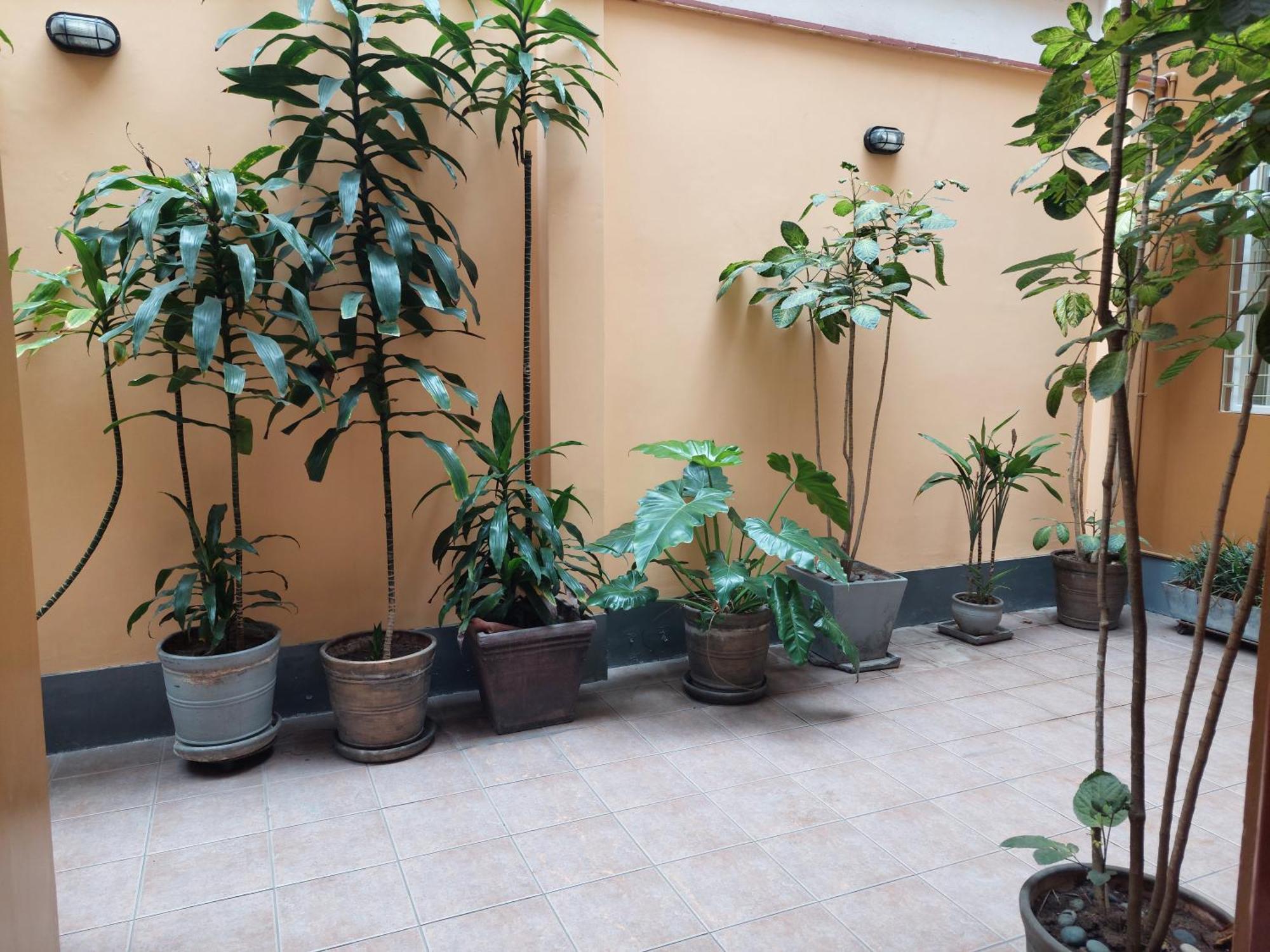 Lima Wasi Hotel Miraflores Luaran gambar
